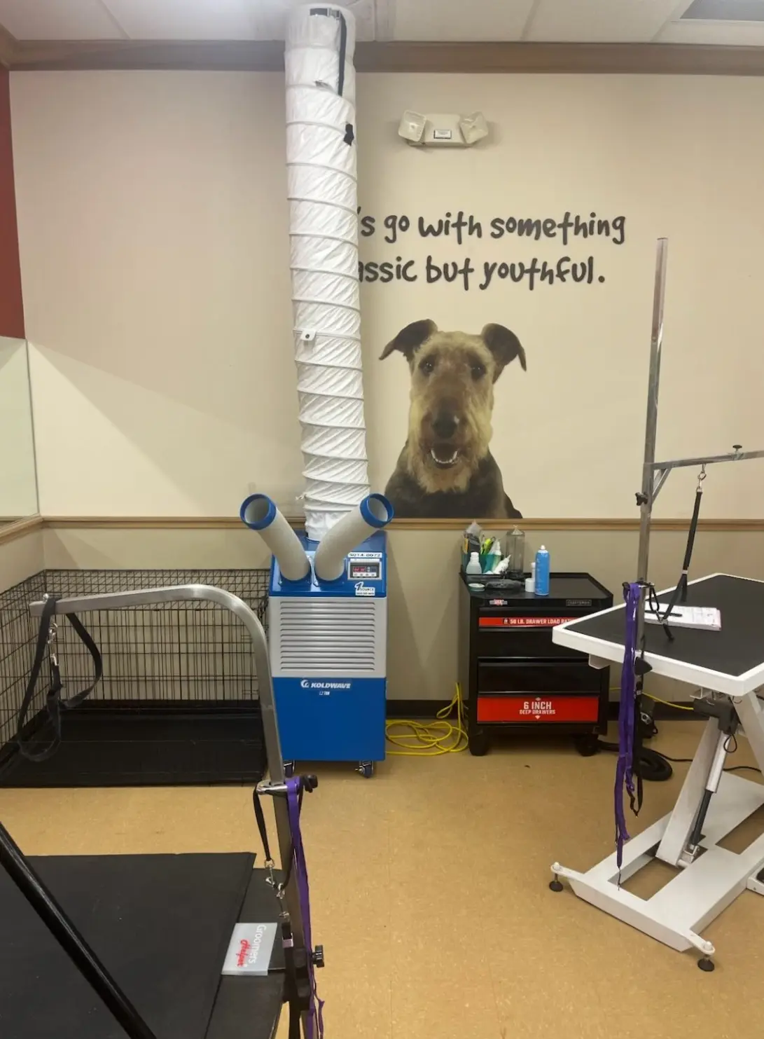 Keeping Pet Supplies Plus Cool & Open for Business